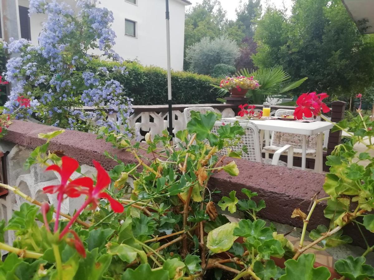 Cornelia Apartment *